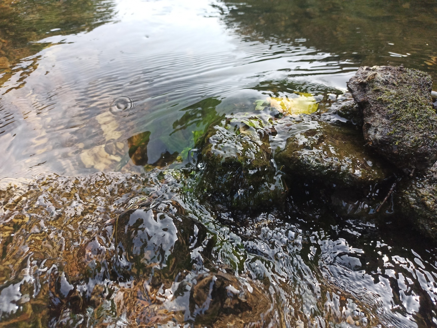 Что произойдет с организмом человека, если он продолжительное время совсем не употребляет воду, а исключительно чай?