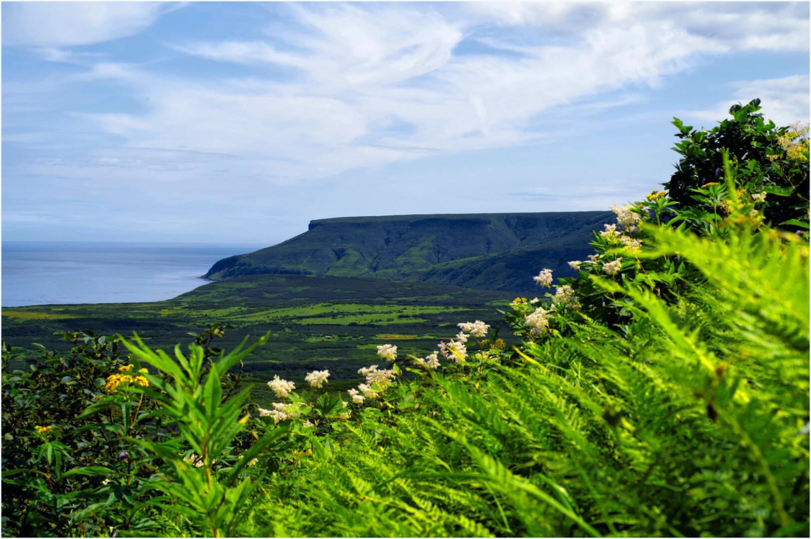 Камчатка - удивительный край нашей бескрайней страны. А не махнуть ли нам этим летом туда?