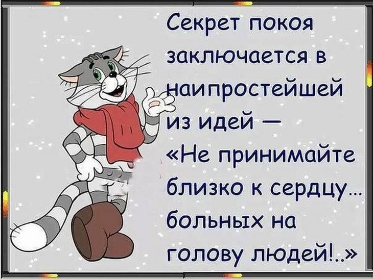 Шутки - лучшее лекарство от плохого настроения
