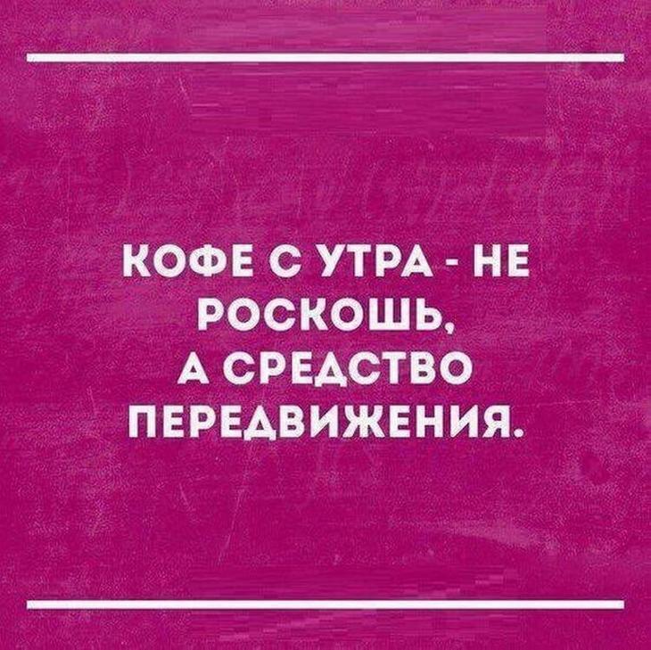 Шутки - лучшее лекарство от плохого настроения