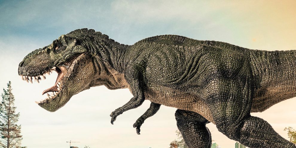 Почему у тираннозавров были такие короткие руки?