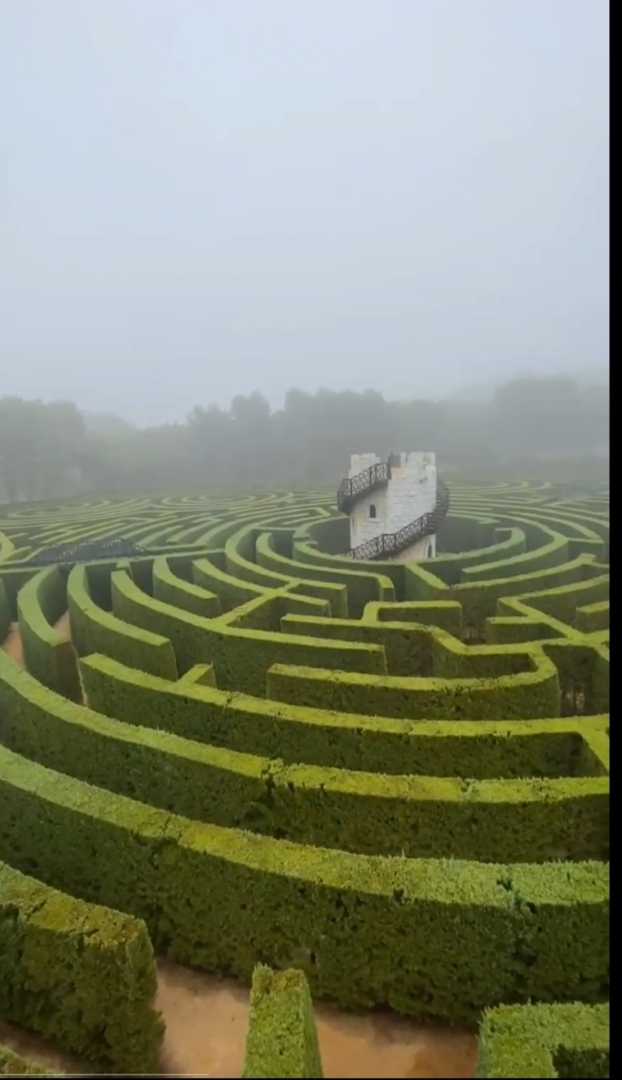 Интересные факты, которые Вам будут интересны ( часть третья)