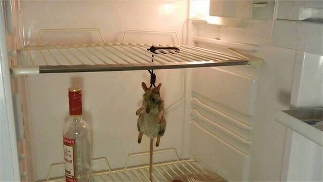 Приставы не оставили инвалиду прожиточного минимума при взыскании