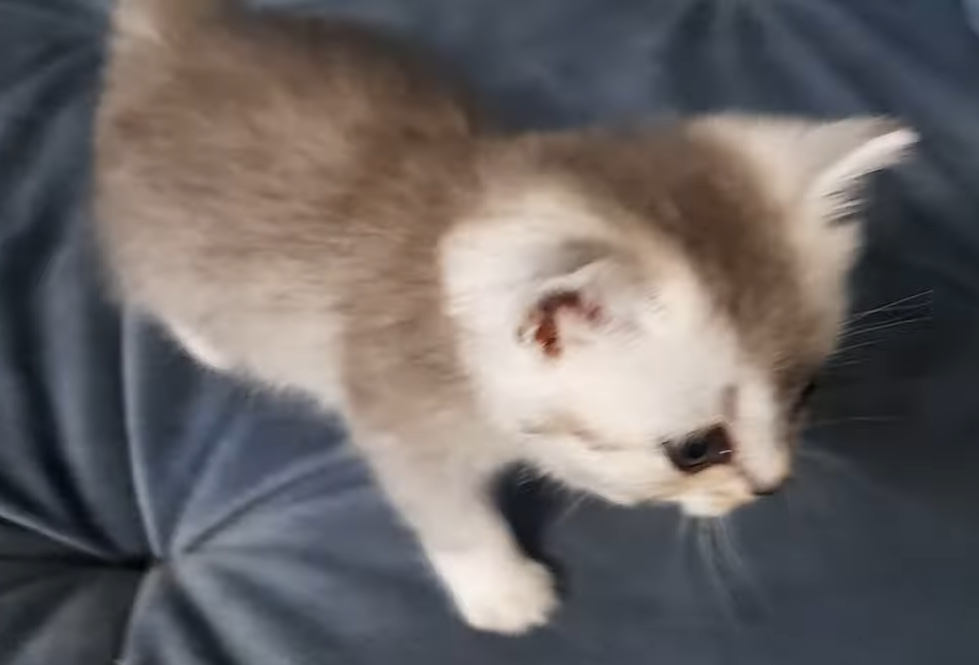 Как назвать? Нужна ваша помощь.