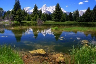 Никогда ни о чем не жалейте