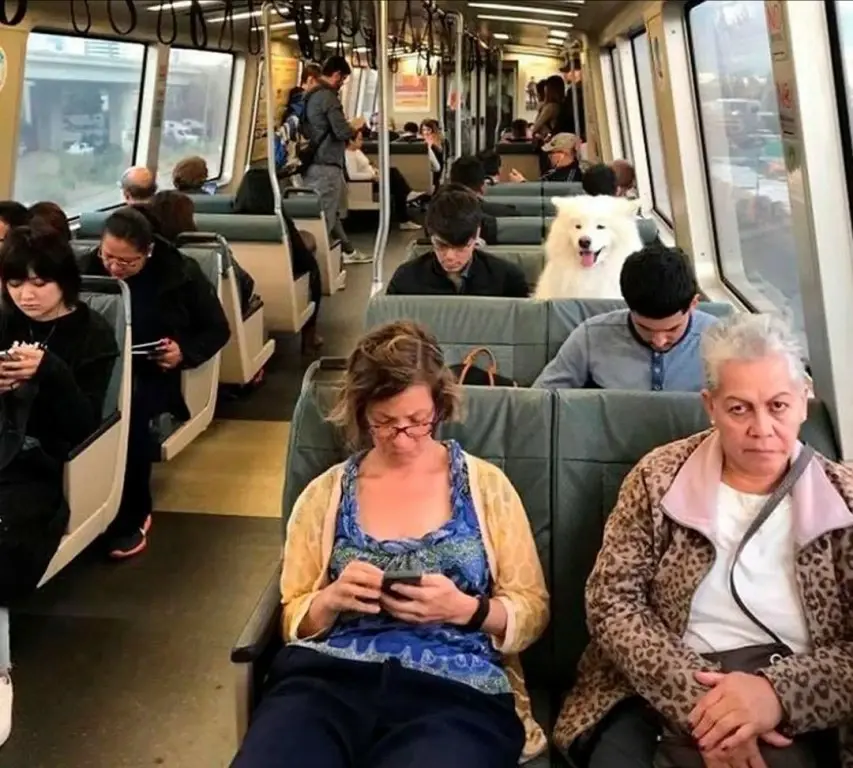 Честных и добропорядочных людей в России в разы больше!