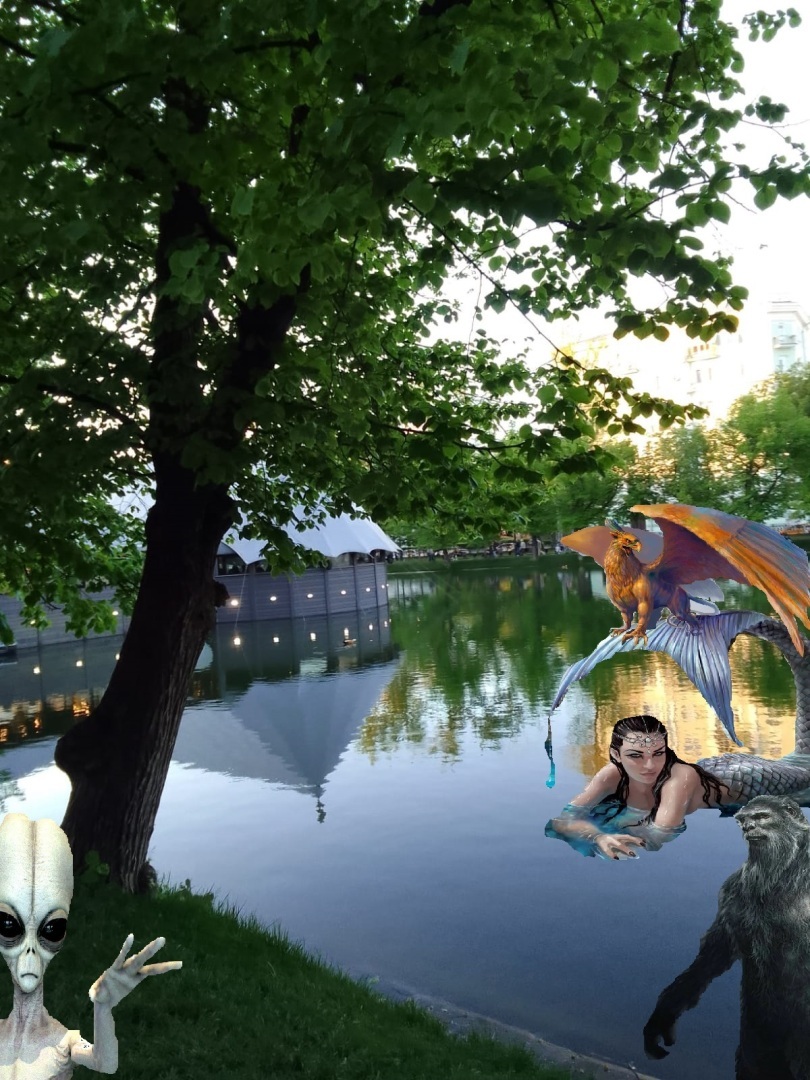 Чистые пруды, застенчивые ивы? Разоблачение бессовестной лжи! Расследование, которое привело к шокирующим открытиям