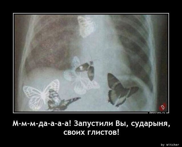 Весёлые картинки (часть 41)