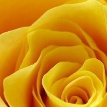 Ольга Федосова, г. Екатеринбург