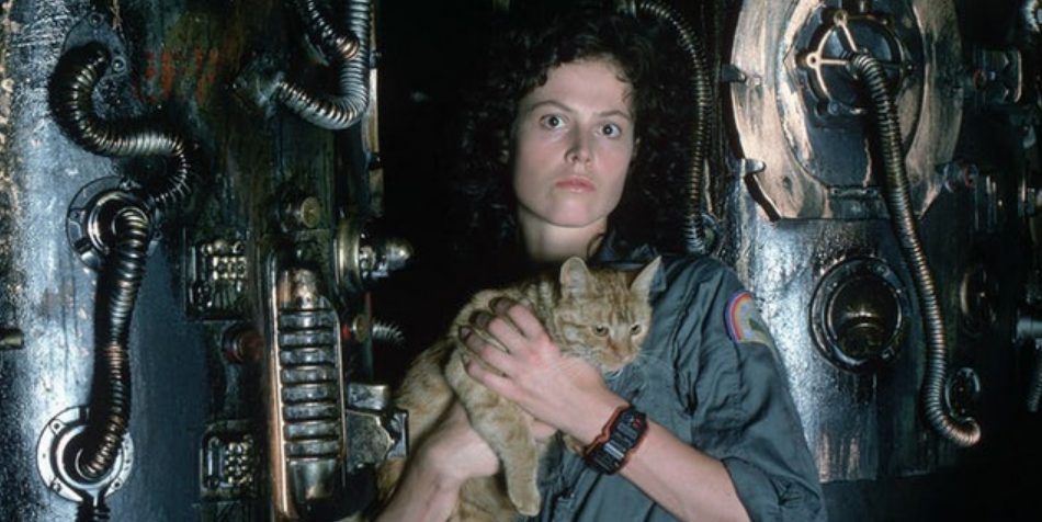 В этих ролях режиссеры изначально видели совершенно других актеров