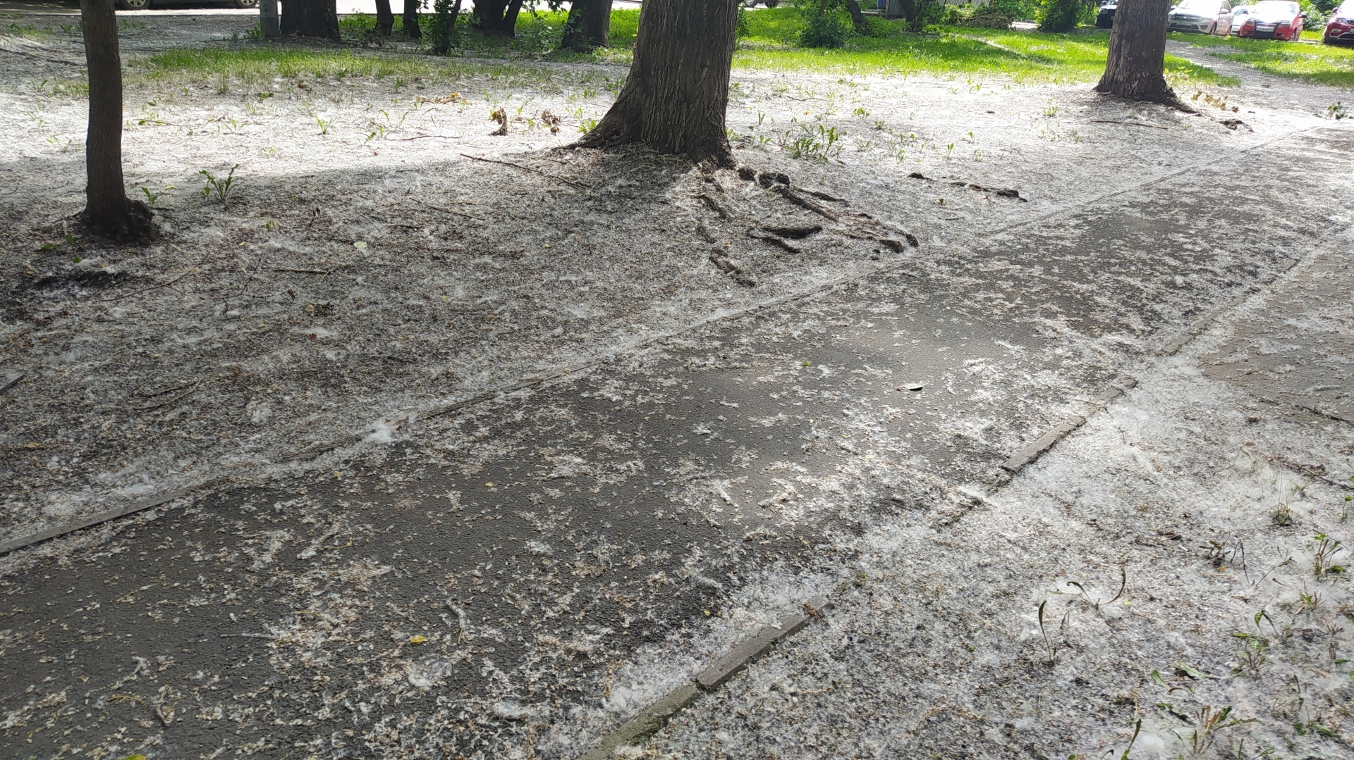 У нас как то так... Аллергики! АУ! Как у Вас дела?