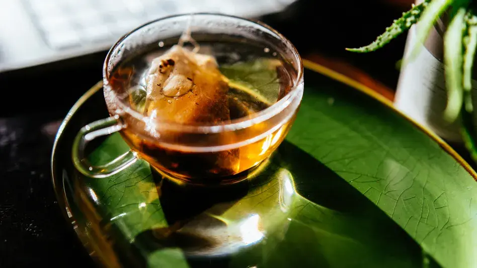 Исследователи нашли следы 400 видов насекомых в чайном пакетике