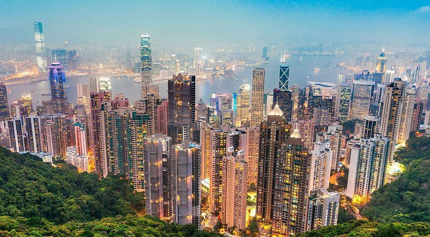 Литр молока-более 4 долларов, кило помидоров - 11!