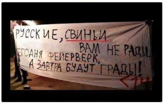 Свиньи нам не рады. Горе-то какое!