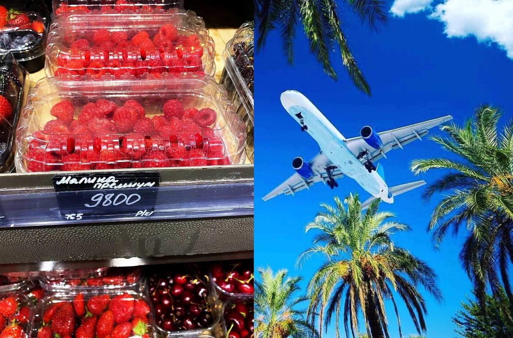 Малина по 9 800 рублей за килограмм! На эти деньги можно купить билет на самолёт и улететь к пальмам. А как у вас?