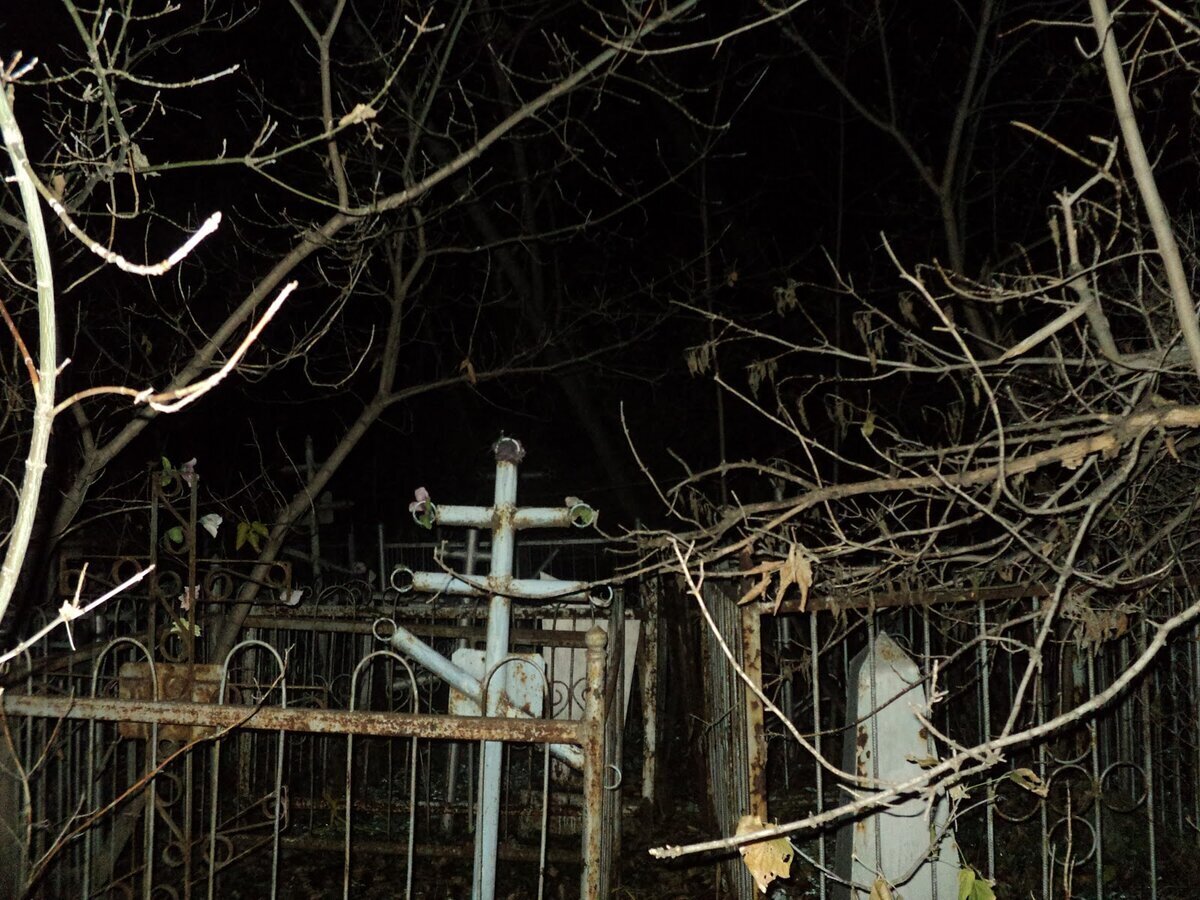 Глупость без границ