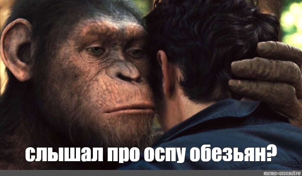 Эта музыка будет вечной. Новая пандемия объявляется открытой!