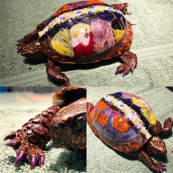 “Это НЕ мило...”