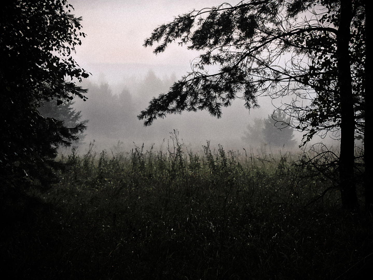 Хочу поделится красотой :)