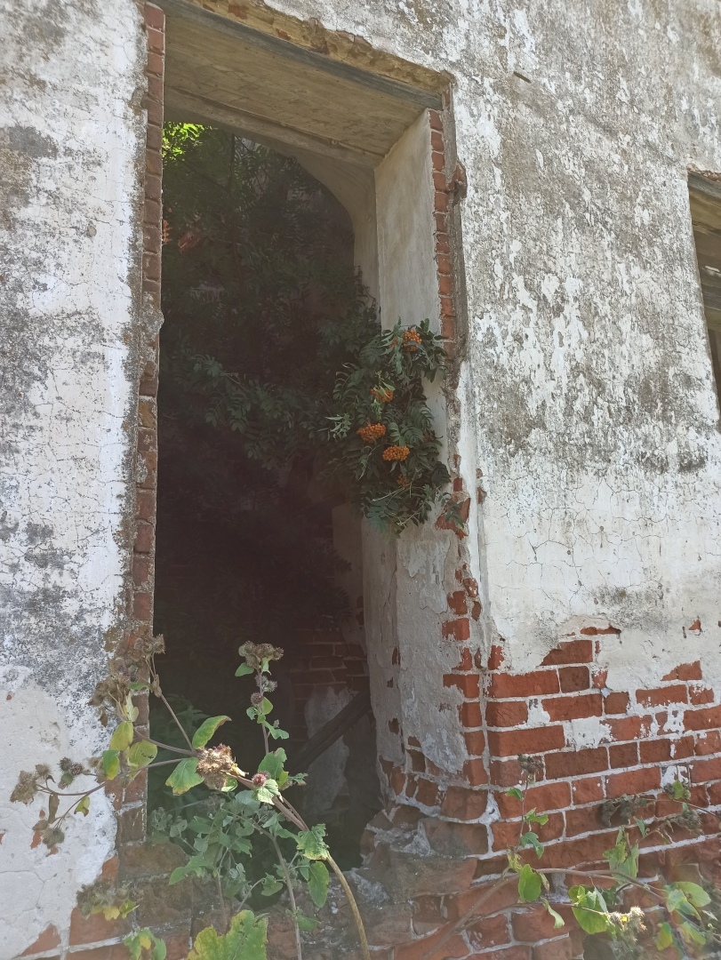 Хочу поделится красотой :)