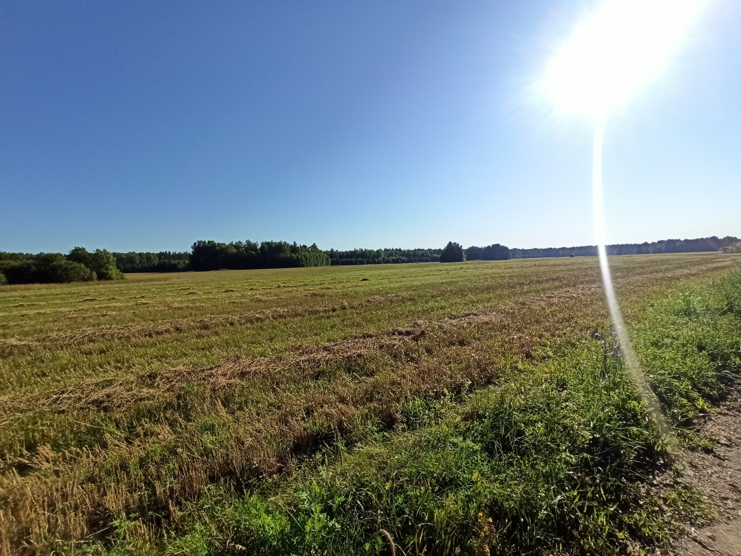 Хочу поделится красотой :)