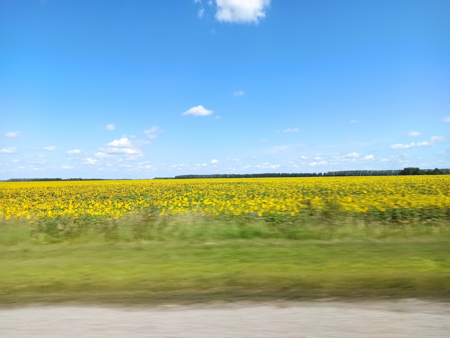 Хочу поделится красотой :)