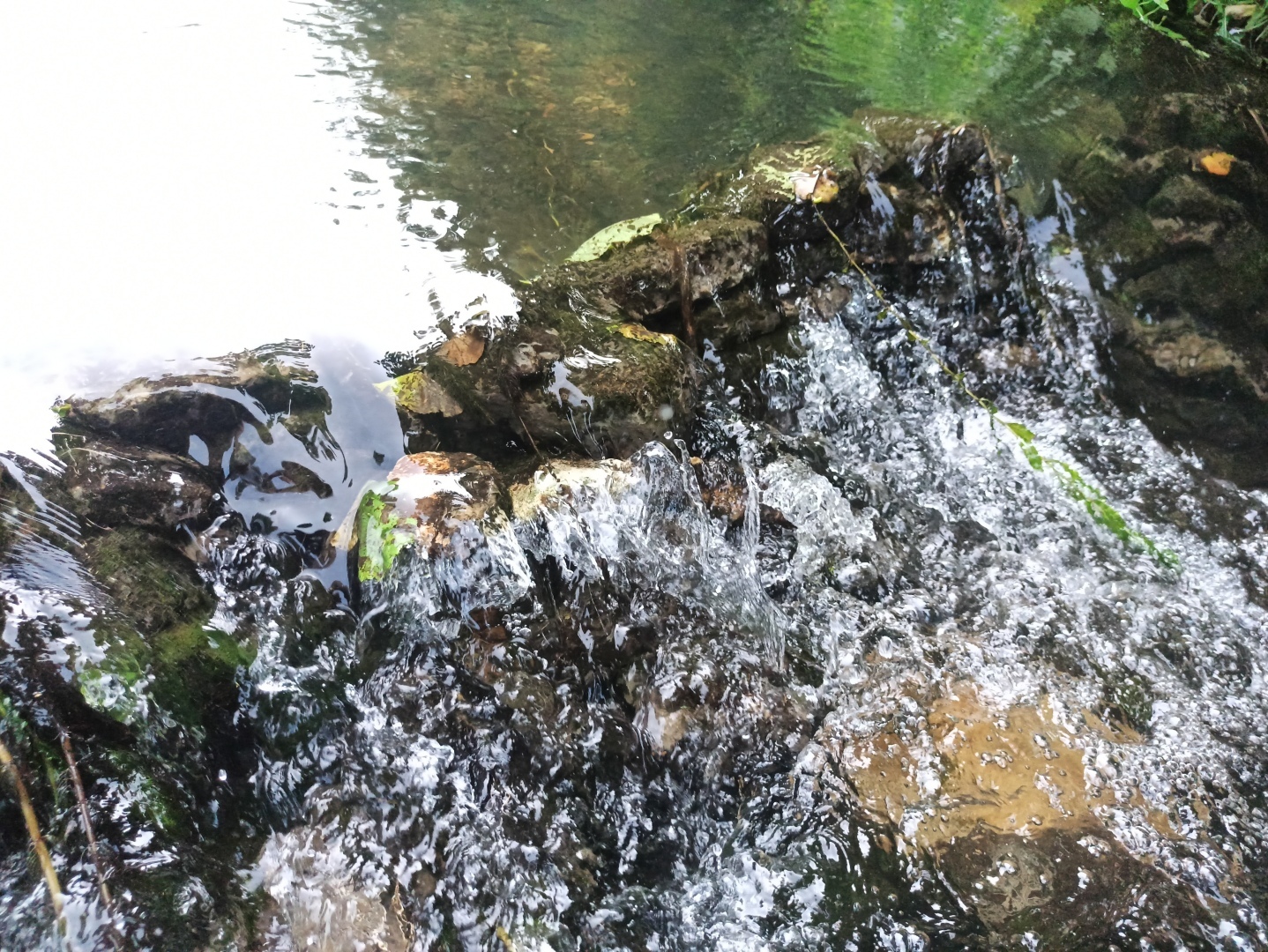 Хочу поделится красотой :)