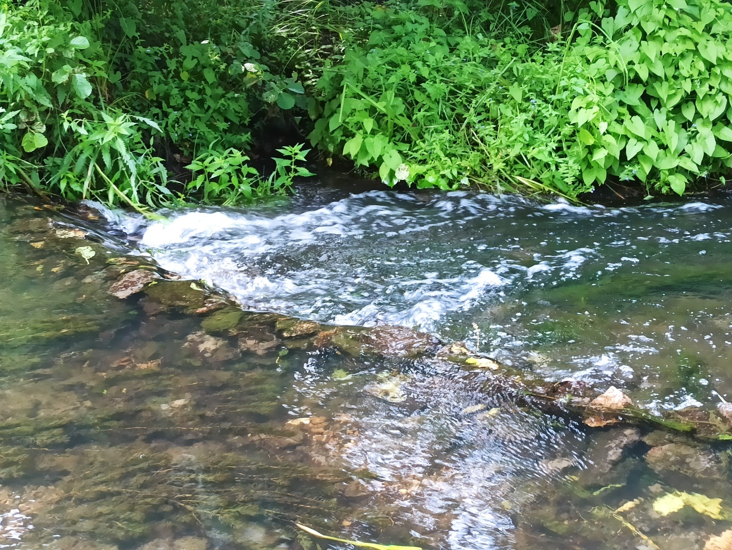 Хочу поделится красотой :)