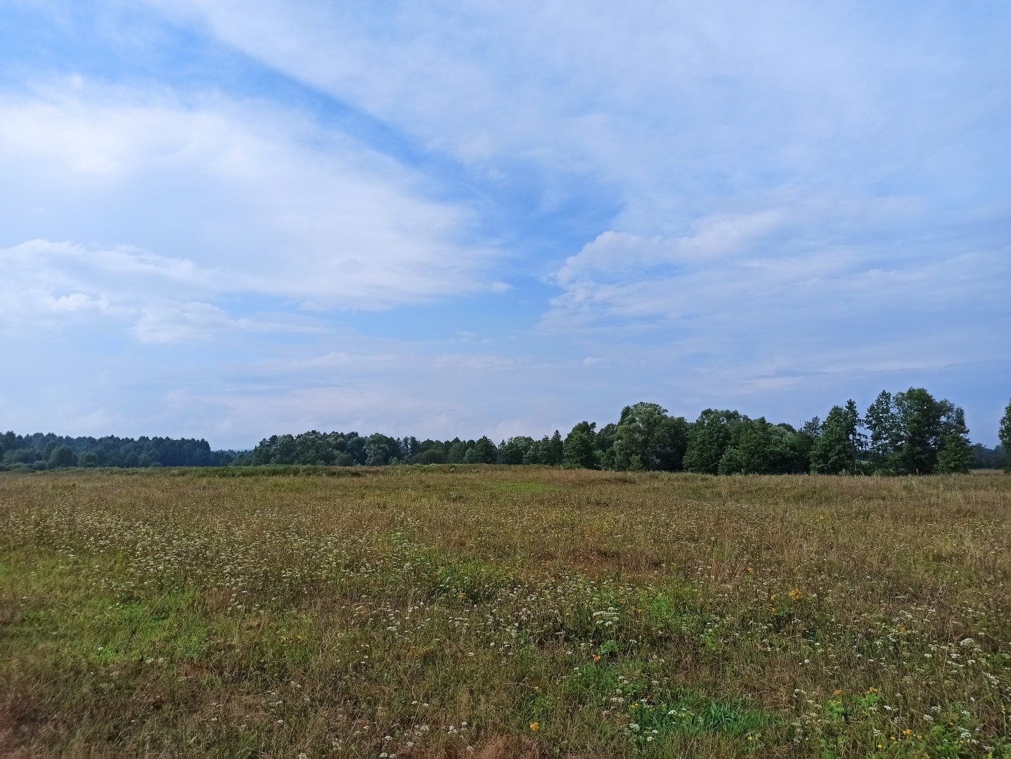 Хочу поделится красотой :)