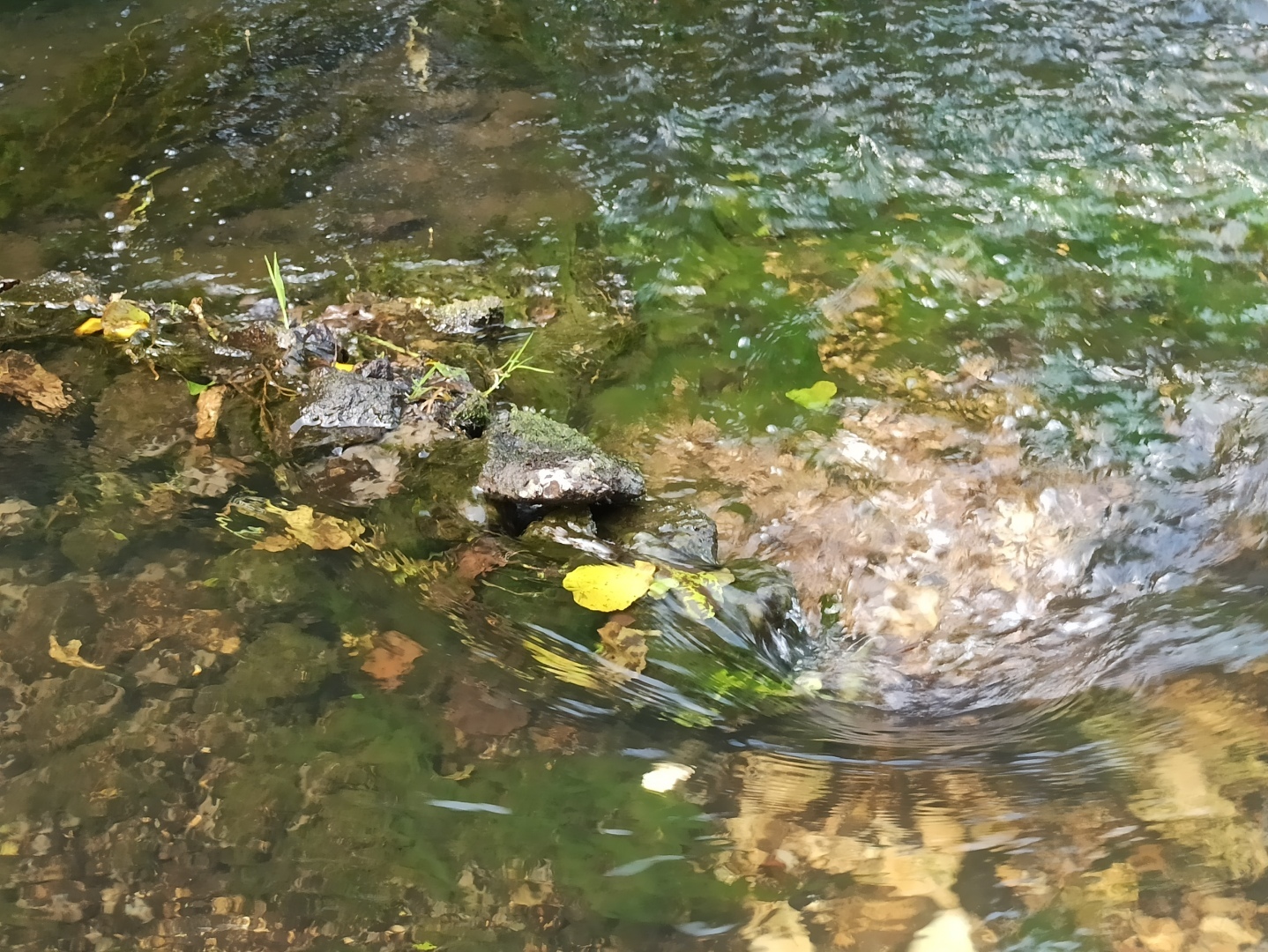 Хочу поделится красотой :)