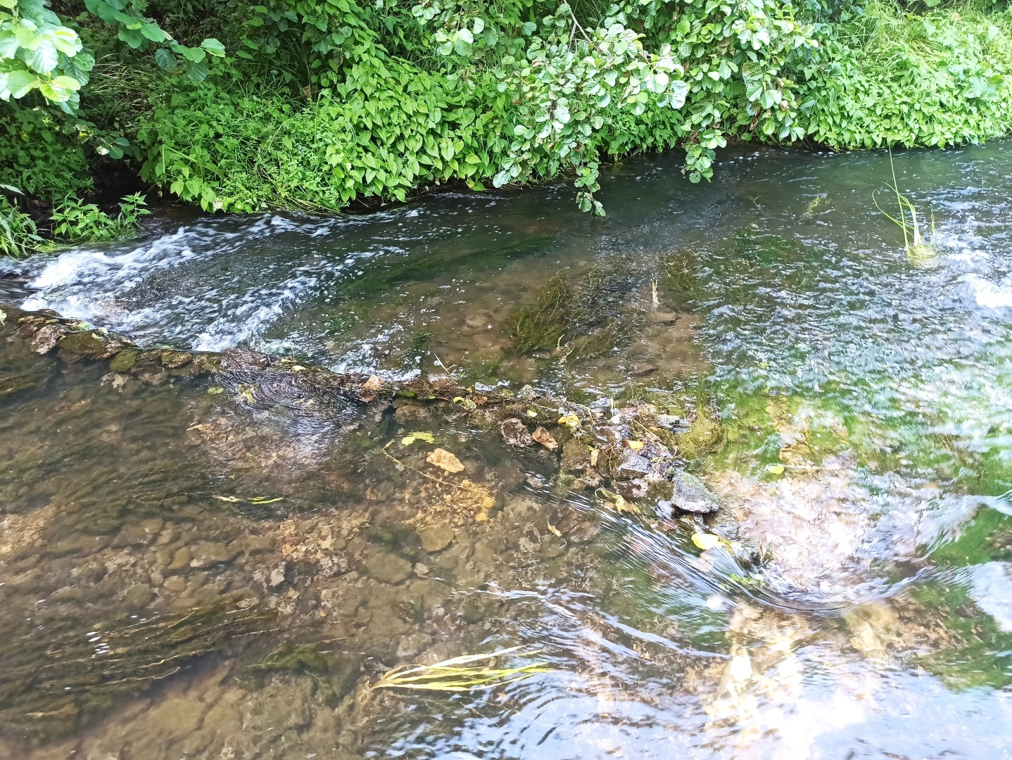 Хочу поделится красотой :)