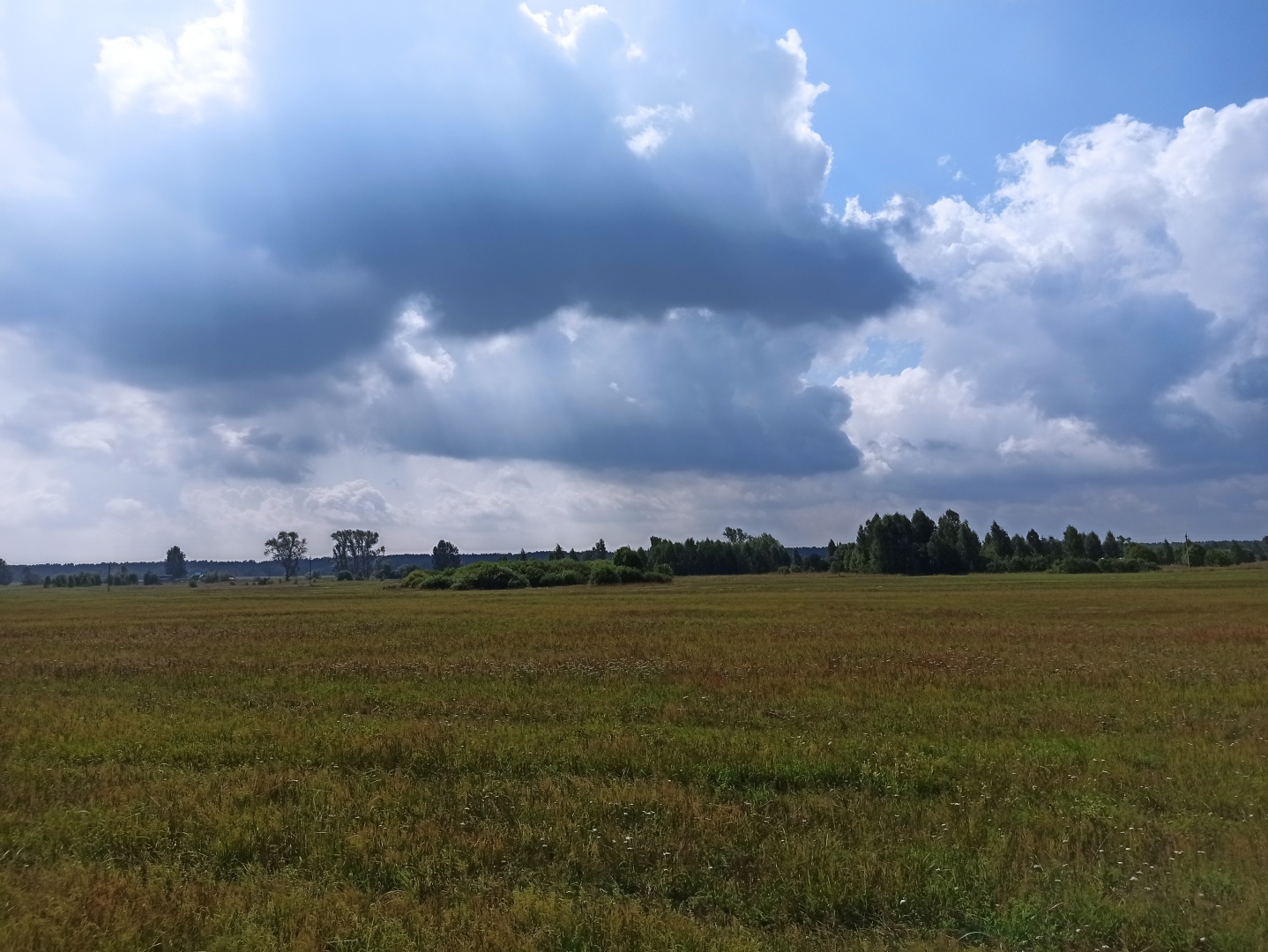 Хочу поделится красотой :)