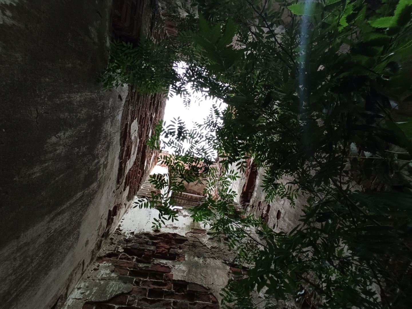 Хочу поделится красотой :)