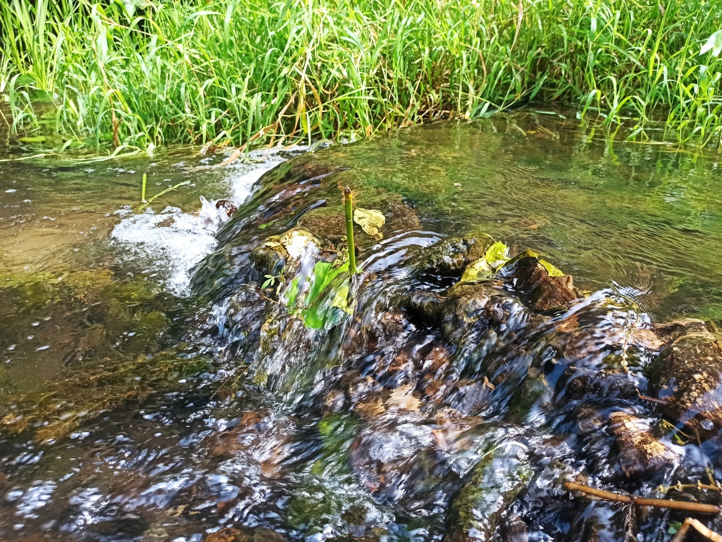 Хочу поделится красотой :)