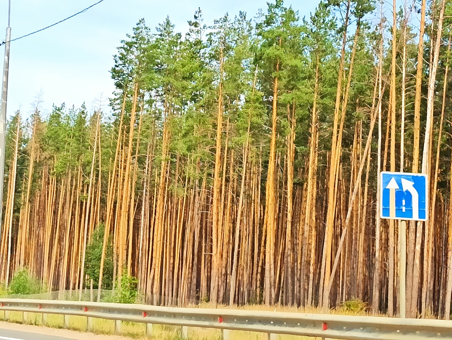 Хочу поделится красотой :)