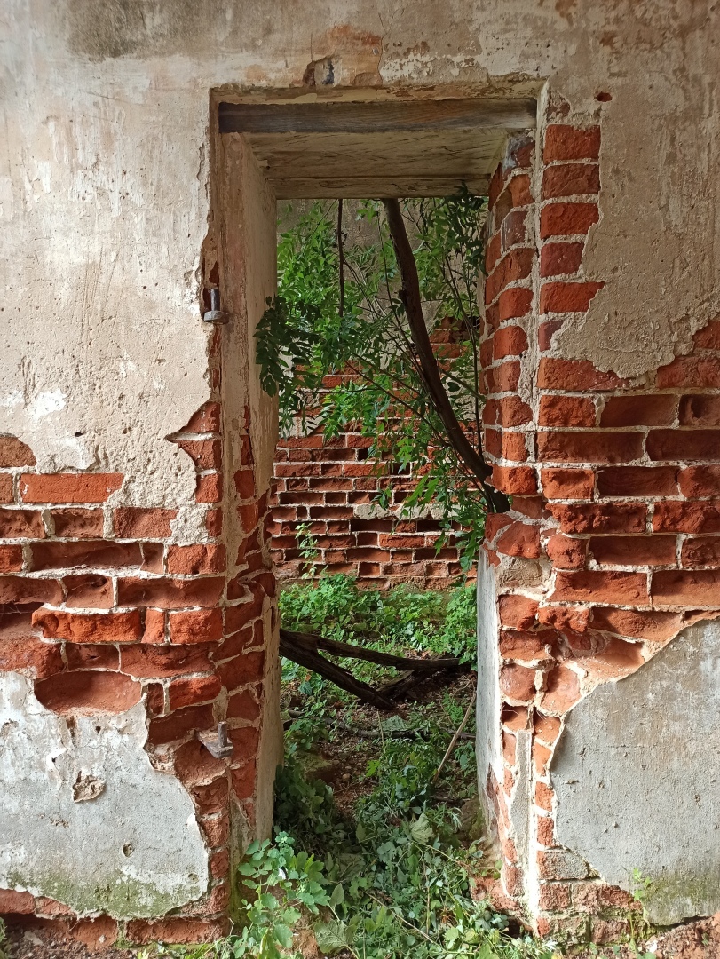 Хочу поделится красотой :)