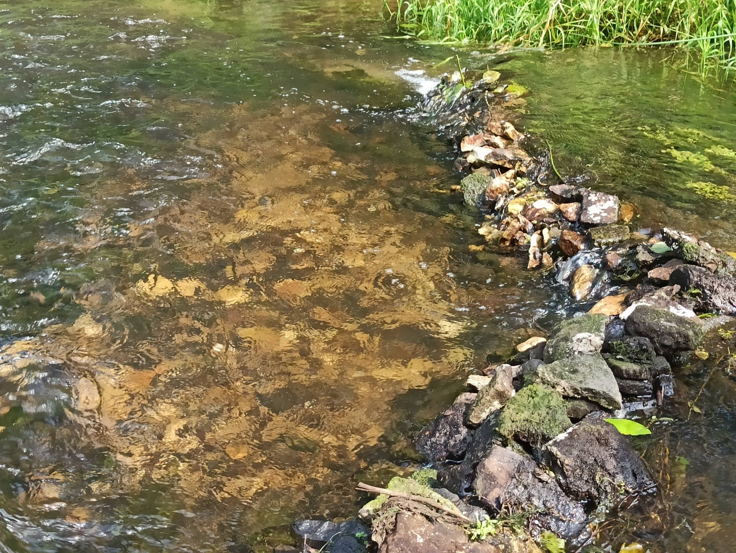 Хочу поделится красотой :)