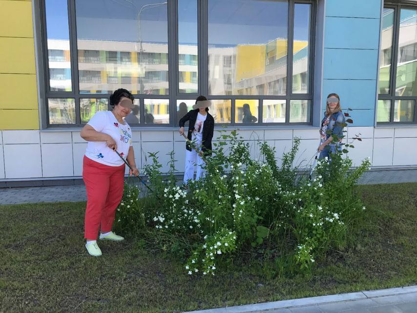 В подмосковье блогер от имени партии власти пранканул учителей