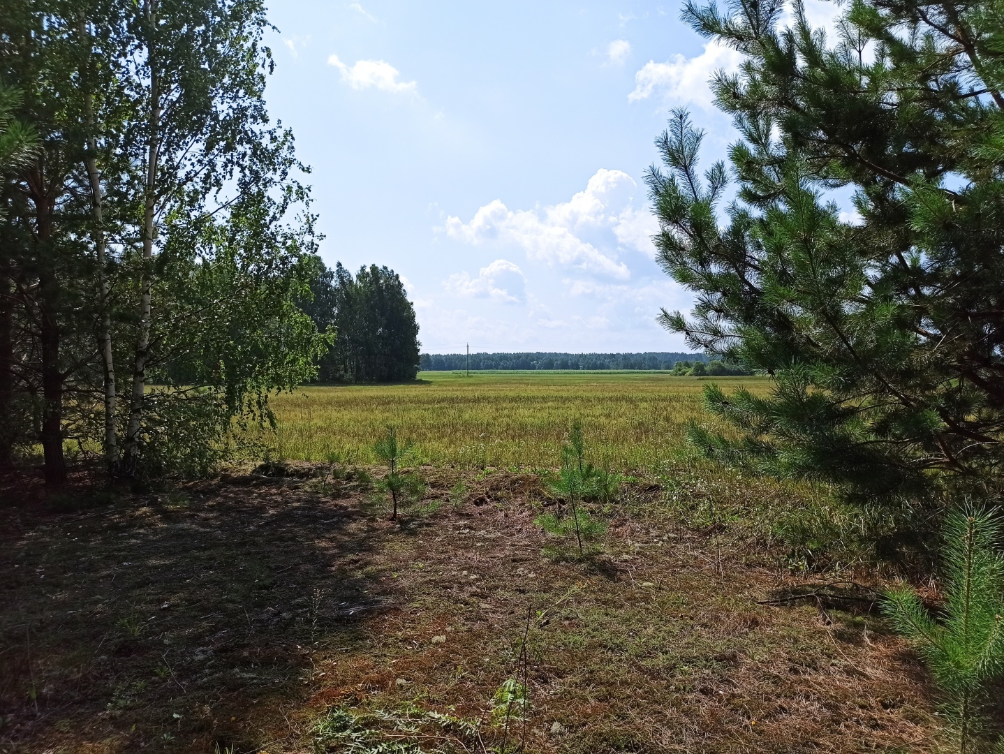 Хочу поделится красотой :)