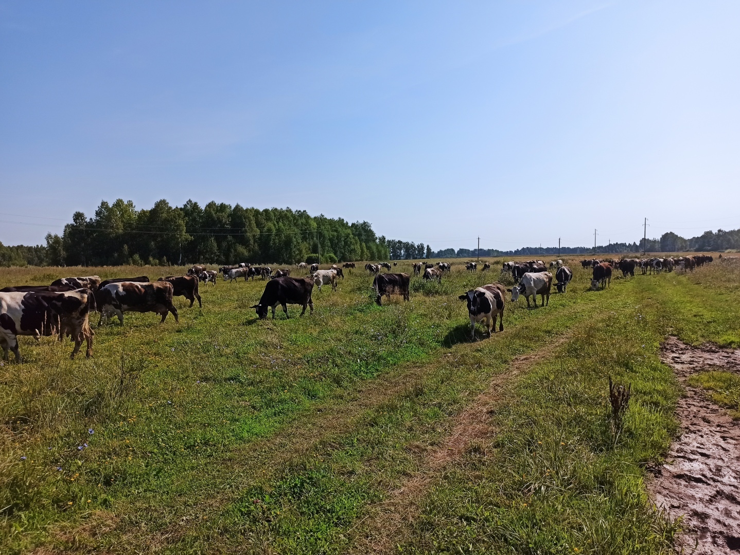 Хочу поделится красотой :)