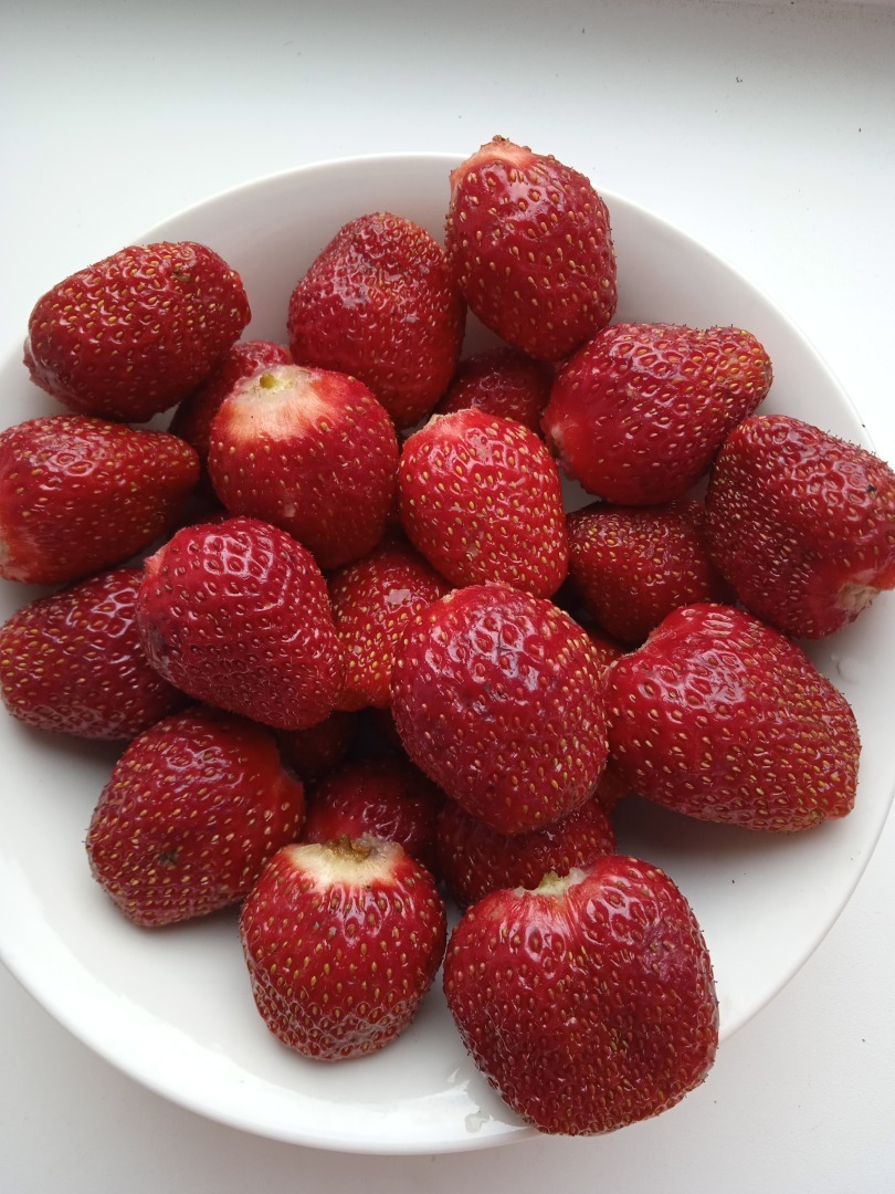 Как вырастить крупную, сладкую и ароматную клубнику: мои секреты успеха.