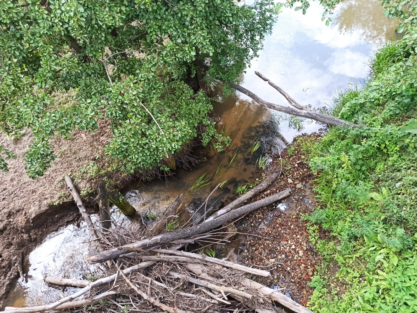 Хочу поделится красотой :)