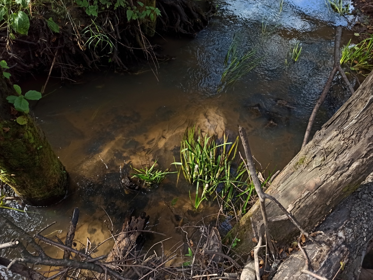 Хочу поделится красотой :)