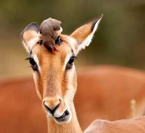 Господа, насладитесь красотой природы и пусть ваши сердца будут добрее