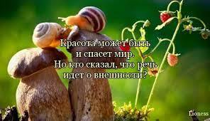 Господа, насладитесь красотой природы и пусть ваши сердца будут добрее