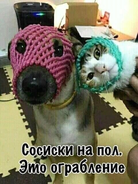 Всякая всячина