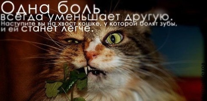 И снова всякая всячина