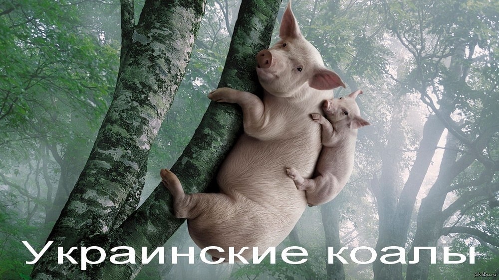 И снова всякая всячина