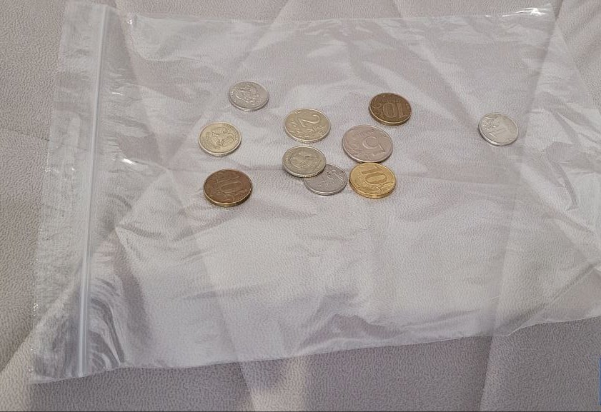 Как избавиться от мух на даче или в квартире: действенный способ борьбы с мухами с помощью пакета и пары монет