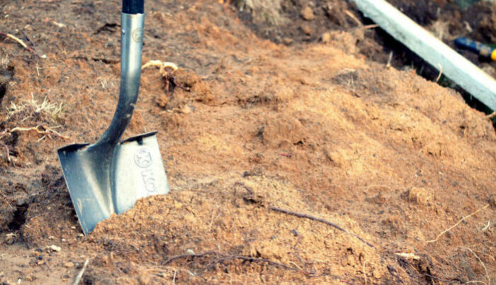 Этот человек пытается разгадать тайну своего двора, угадайте, что он обнаружил !